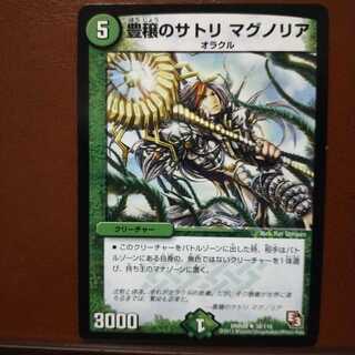 old6074 set discount Satori Magnolia in Abundance