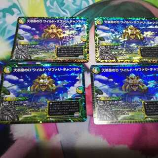 Wild Safari Channel 1枚