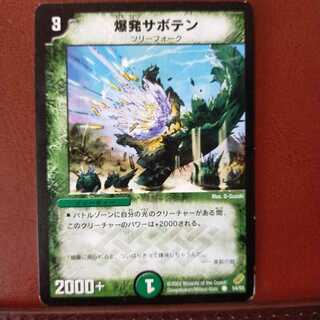 old5999セット割引　爆発サボテン