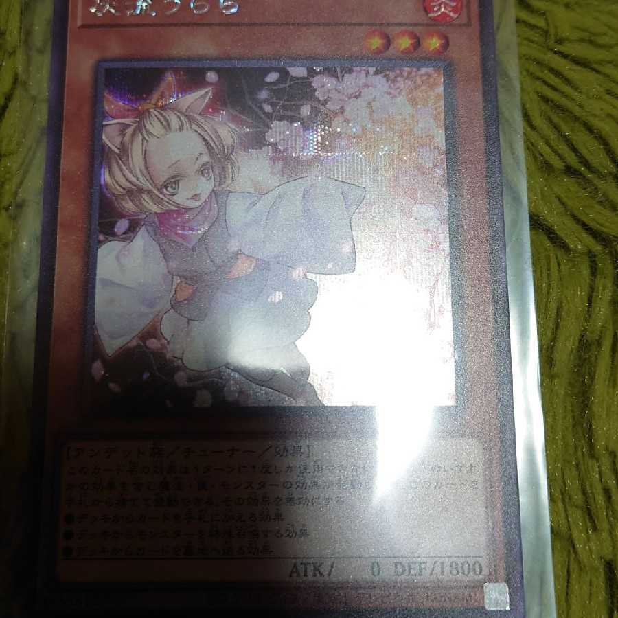 灰流うらら　セット