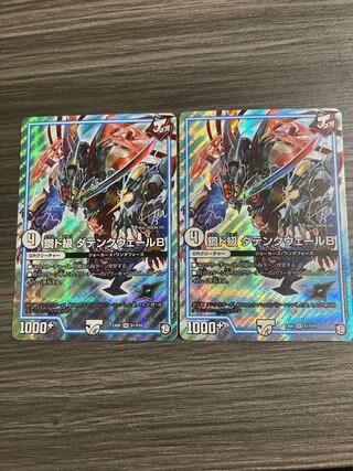 鋼ド級 ダテンクウェールB 2枚セット