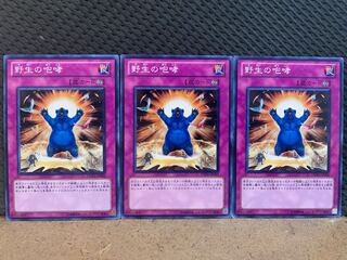【ぽぽたん】遊戯王 10585 野生の咆哮 3枚 ノーマル