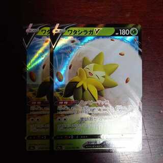 ワタシラガV RR2枚