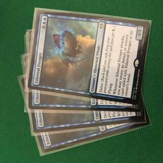 天上の餌あさり 英語版 4枚