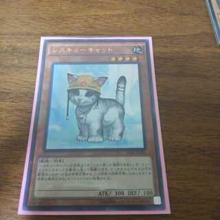 レスキューキャット 20AP-JP061