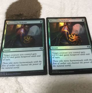 顕在的防御　英　foil 2枚