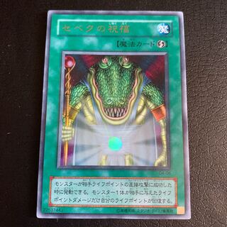 セベクの祝福 ウルトラレア