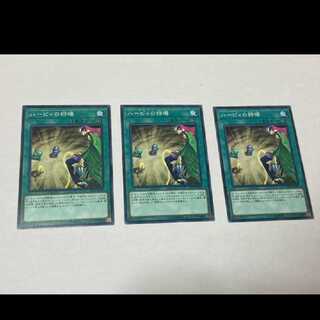 Yu-Gi-Oh Harpies' Hunting Ground 3 cards, model no. Ah-863