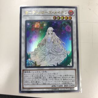 ガーデン・ローズ・メイデン