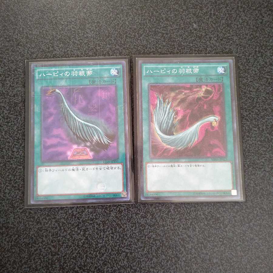 ハーピィの羽根帚