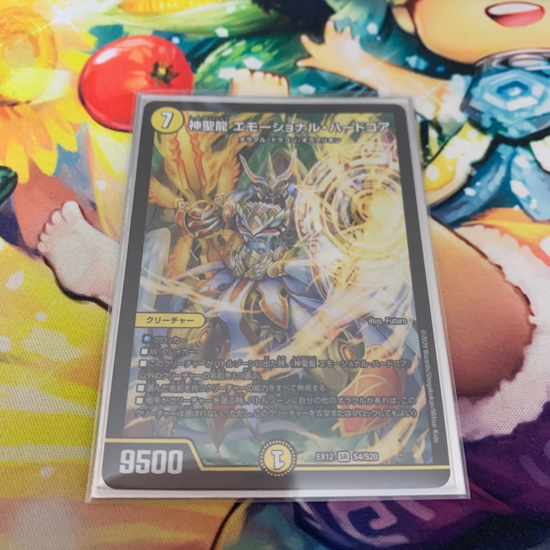 神聖龍 エモーショナル・ハードコア