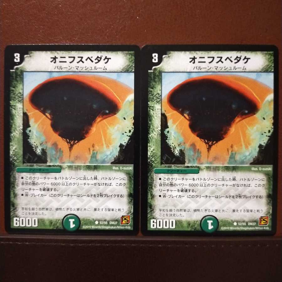 old6107セット割引 オニフスベダケ