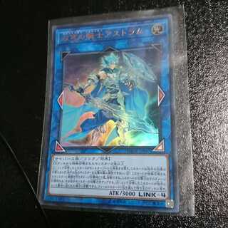 【みやじ様専用】双穹の騎士アストラム ウルトラ