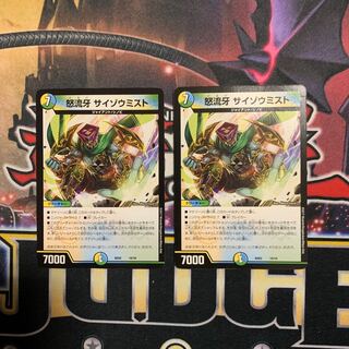 怒流牙サイゾウミスト　2枚セット