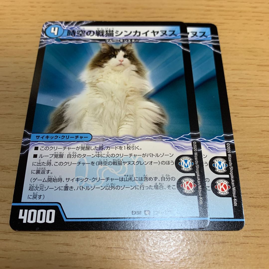 時空の戦猫シンカイヤヌス|時空の戦猫ヤヌスグレンオー U