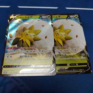 ワタシラガV RR　２枚