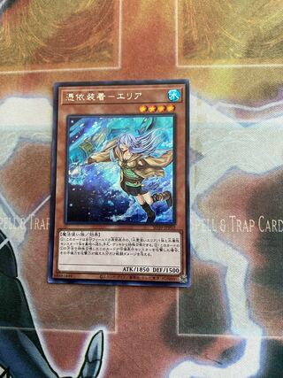 憑依装着-エリア