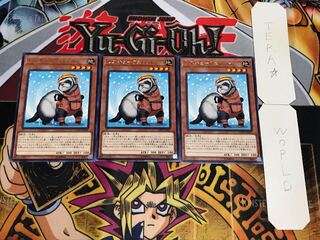 レスキュー・フェレット レア 3枚セット てら