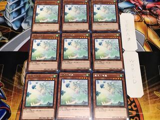 Spirit of the Fall Wind Rare 9-card set Tera