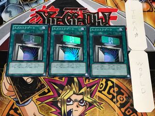 エクストラゲート スーパー 3枚セット てら