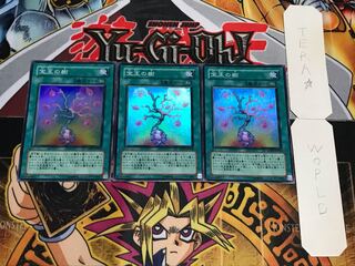 宝玉の樹 スーパー 3枚セット てら