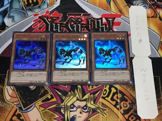 フレイム・バッファロー スーパー 3枚セット てら