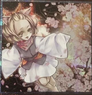 募集　灰流うらら　一枚