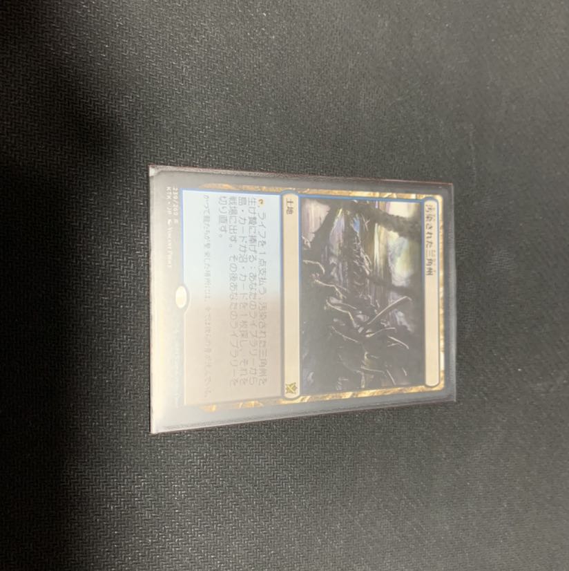 汚染された三角州　日本語