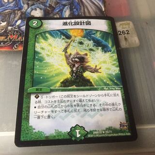 セット割引   進化設計図