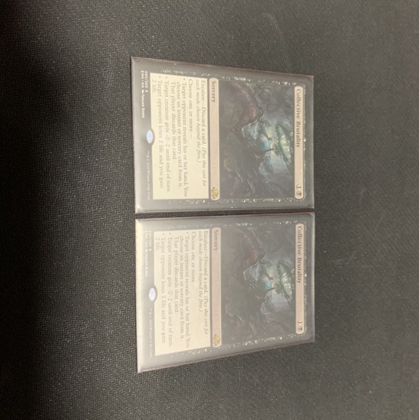 集団的蛮行　EMN 英語　２枚