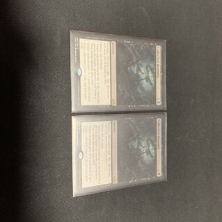 集団的蛮行　EMN 英語　２枚