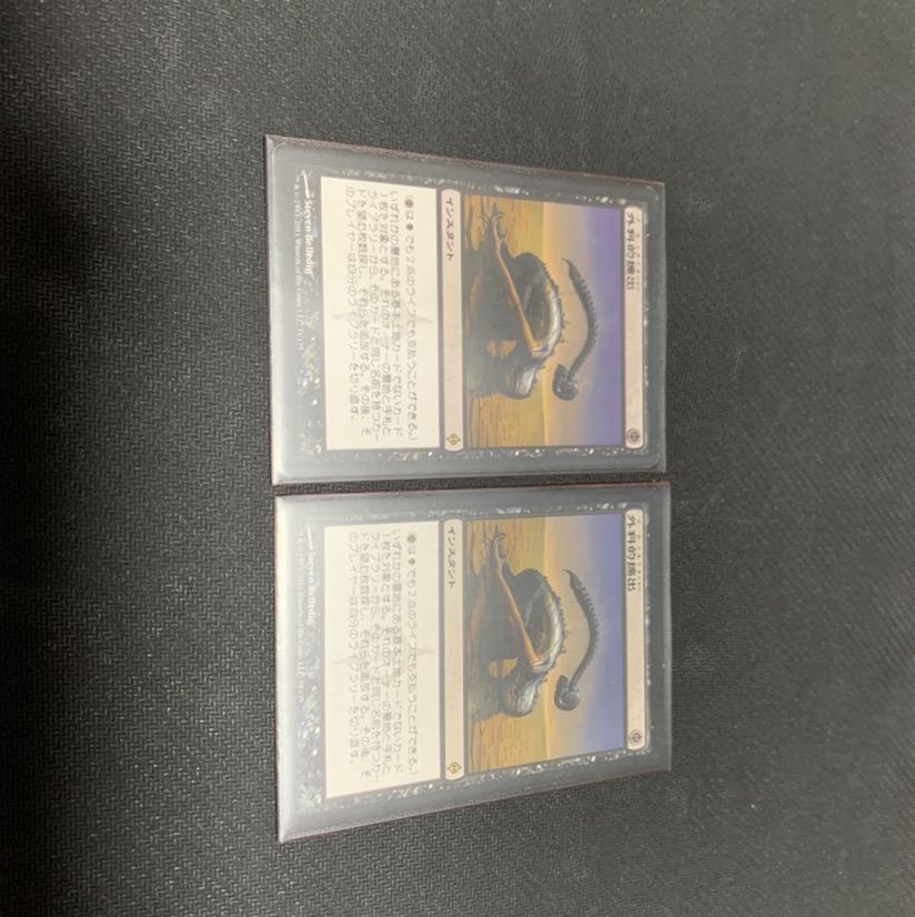 外科的摘出　NPH 日本語　２枚