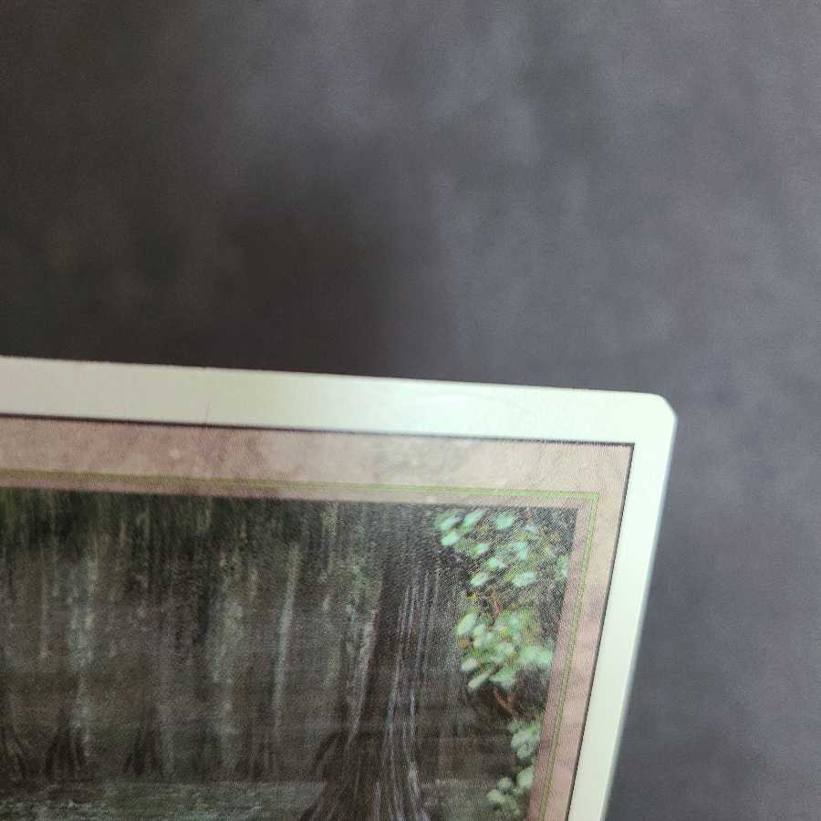 Bayou リバイズド