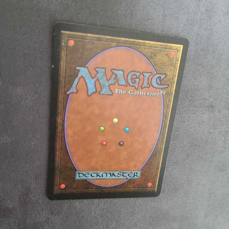 Bayou リバイズド