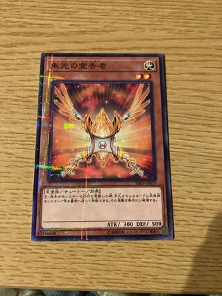 朱光の宣告者 パラレル ノーマル　