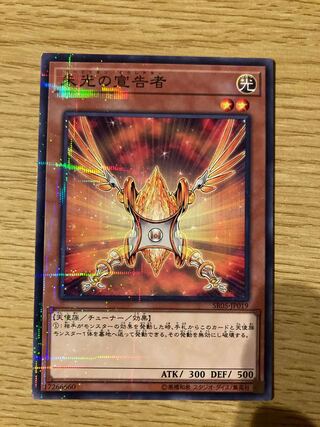 朱光の宣告者 パラレル ノーマル