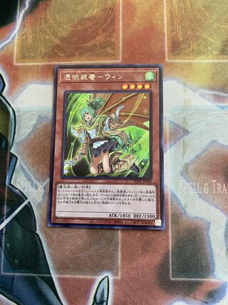 憑依装着-ウィン