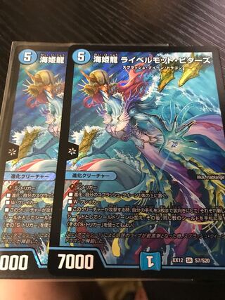 海姫龍 ライベルモット・ビターズ SR