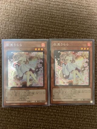 遊戯王 灰流うらら 絵違いシークレット2枚