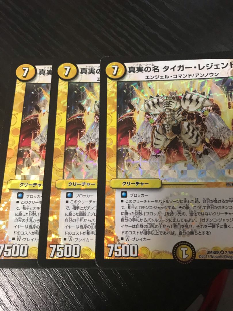 真実の名 タイガー・レジェンド VR