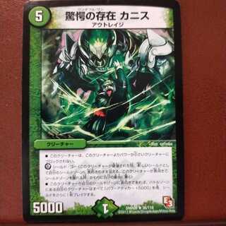 olive6034 set discount Startle presence Canis