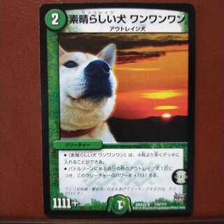 old6040セット割引　素晴らしい犬 ワンワンワン 1枚