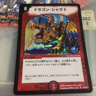 専用  セット割引   ドラゴン・シャウト プロモ