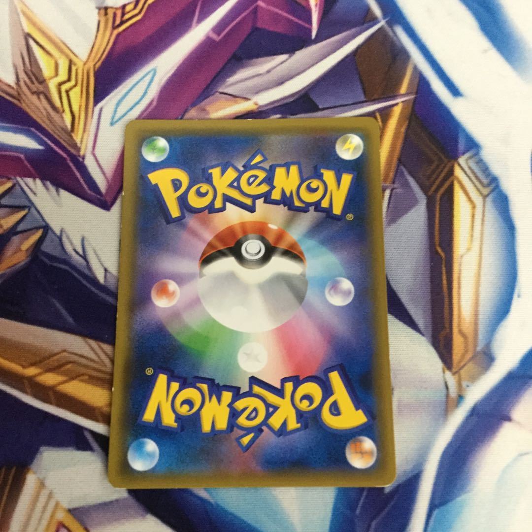 カルネ SR【06475-45】