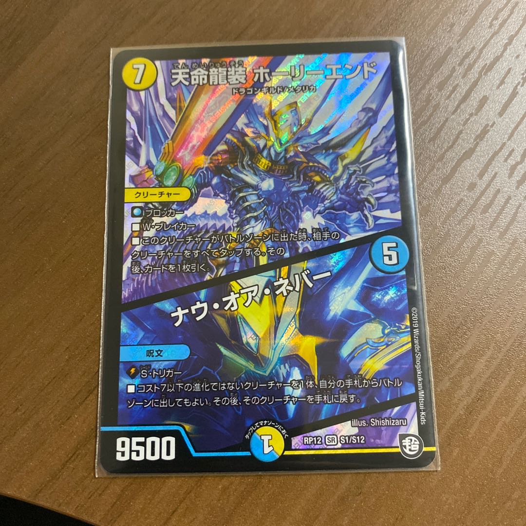 天命龍装 ホーリーエンド/ナウ・オア・ネバー