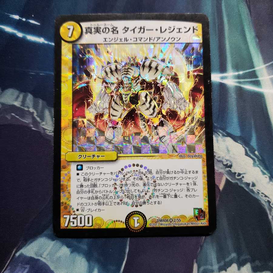 真実の名 タイガー・レジェンド