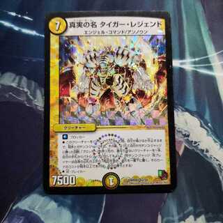 真実の名 タイガー・レジェンド