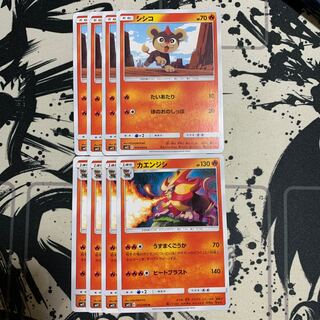 シシコ　カエンジシ