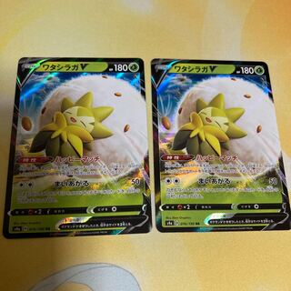 ワタシラガV 2枚セット