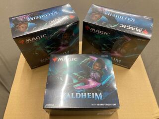 カルドハイム　バンドル英語版　未開封3個セット